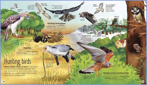 Unveiling The Extraordinary World Of Yolanda Simmons: Discoveries And Insights